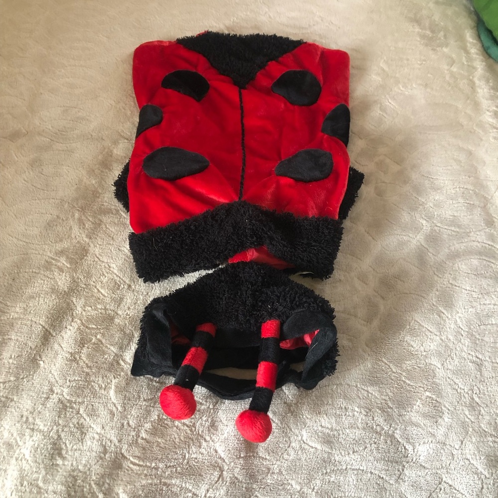 Dog Ladybug Costume